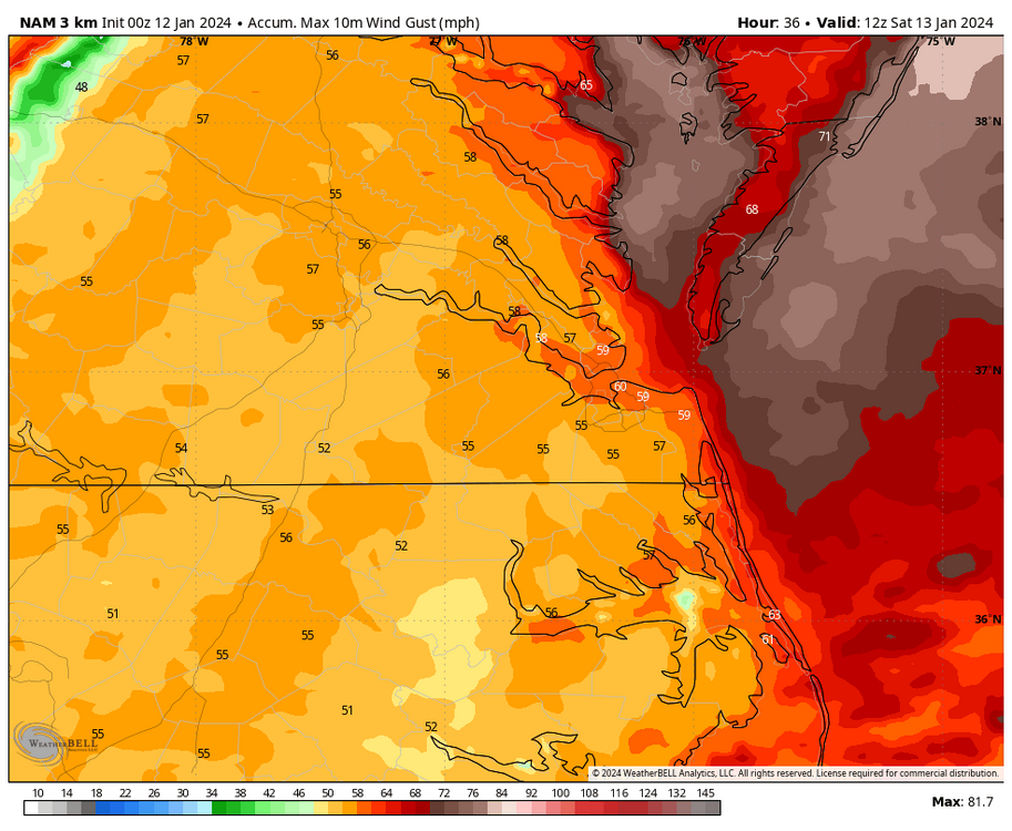 nam-nest-shenendoah-gust_swath_mph-5147200.thumb.png.34ab2f61bef5ca0fcfc624a890be1a5d.png