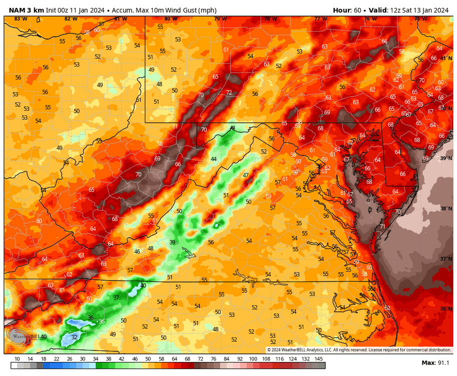 nam-nest-shenendoah-gust_swath_mph-5147200.thumb.png.b4716d51dedc929ce3eaa63878b699ac.png