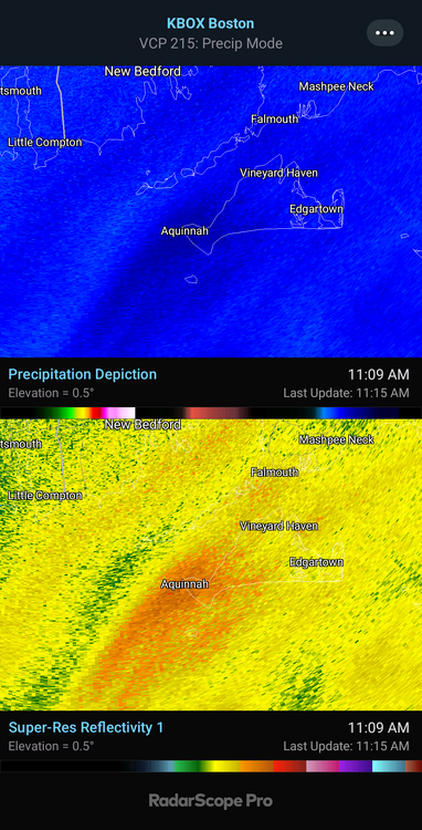 KBOX - Precipitation Depiction, 11_09 AM.png