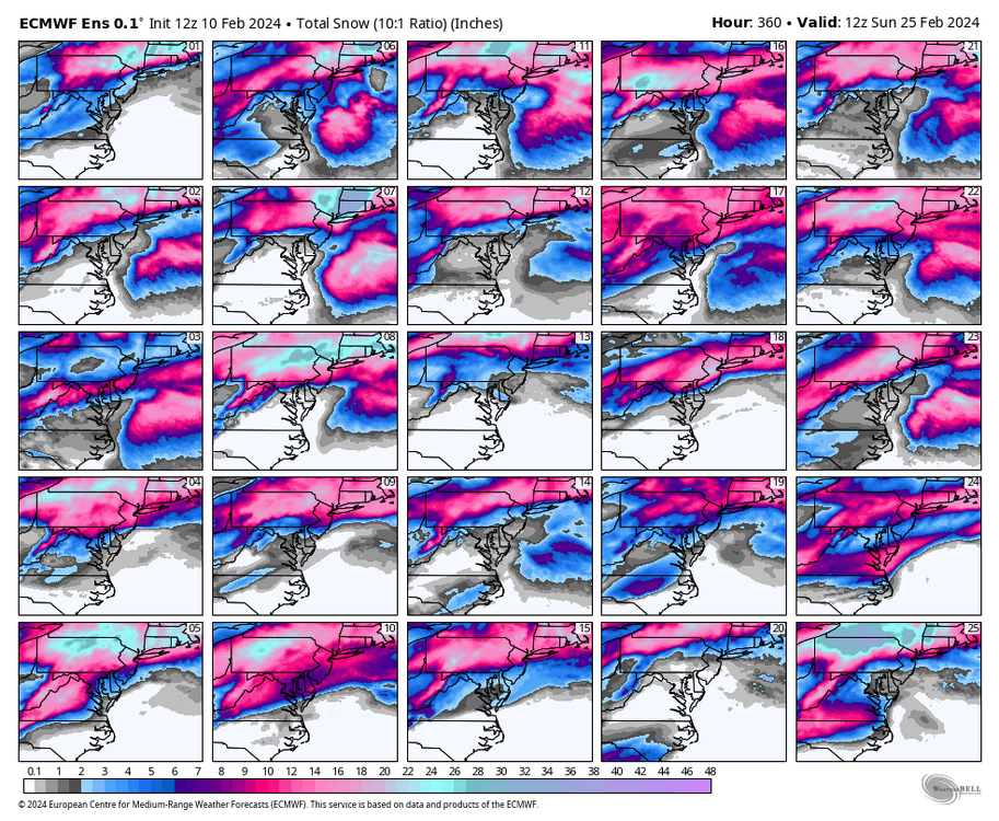 ecmwf-ensemble-avg-ma-snow_total_multimember_panel_ecmwf_a-8862400.thumb.png.03dbd6cdc1098a4edf995a5a1a09e4f8.png