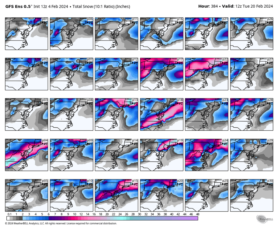 gfs-ensemble-all-avg-ma-snow_total_multimember_panel-8430400.thumb.png.c47c3c5dd50bb4dedf15f669bb708cfd.png