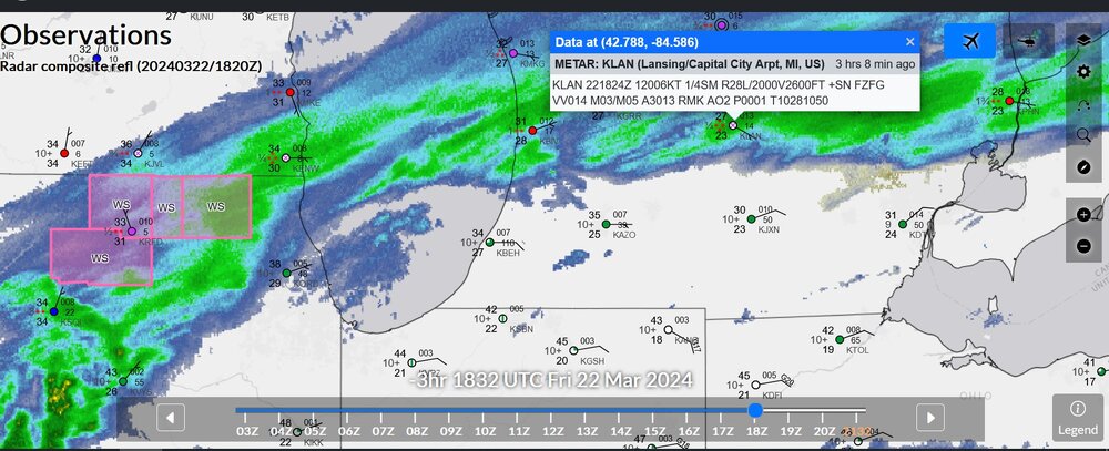 heavy snw mich to illinois.jpg