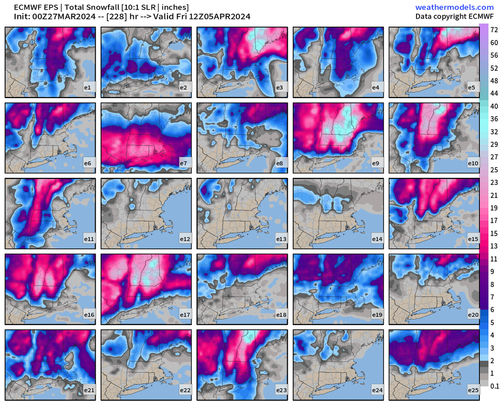 eps_acc_snow_ens_p1_boston_228.png