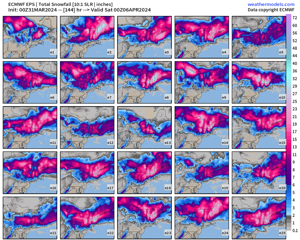 eps_acc_snow_ens_p1_neng_144.png