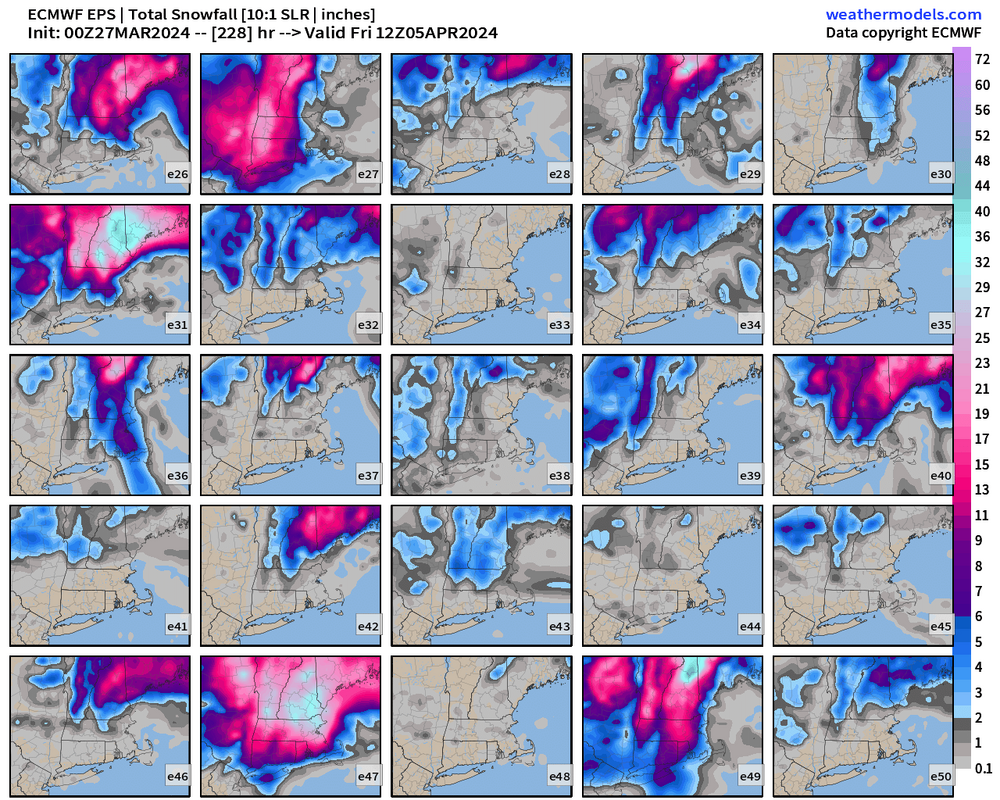 eps_acc_snow_ens_p2_boston_228.png