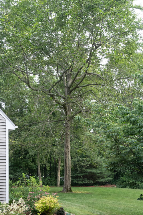 DSCF8171.jpg