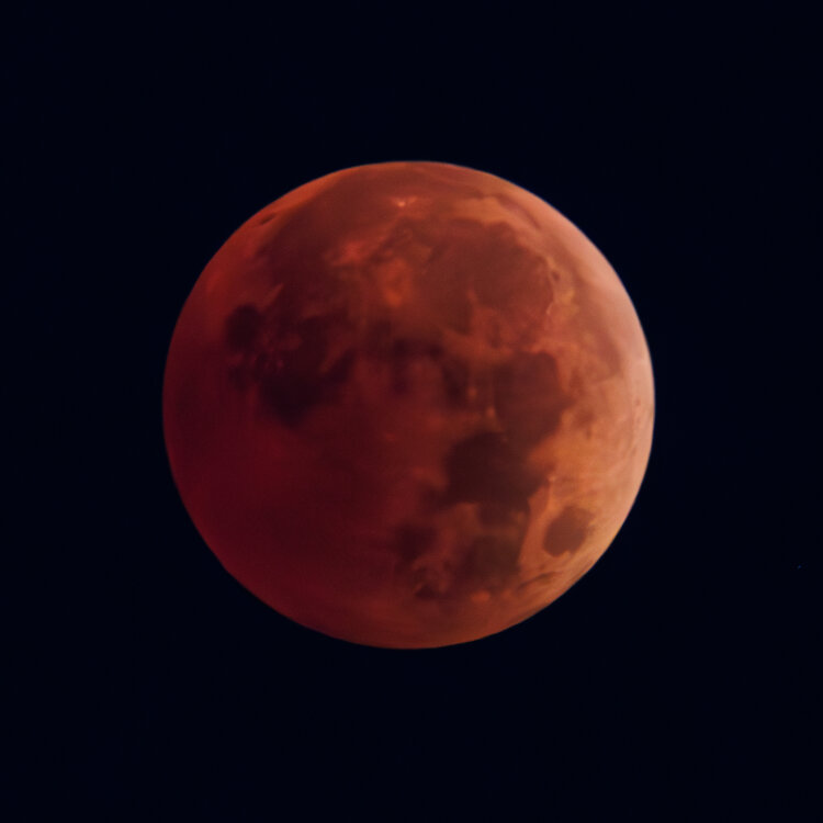 LunarEclipse_Nov2022_11.thumb.jpg.7a78fc031040d03be8339034be939da6.jpg