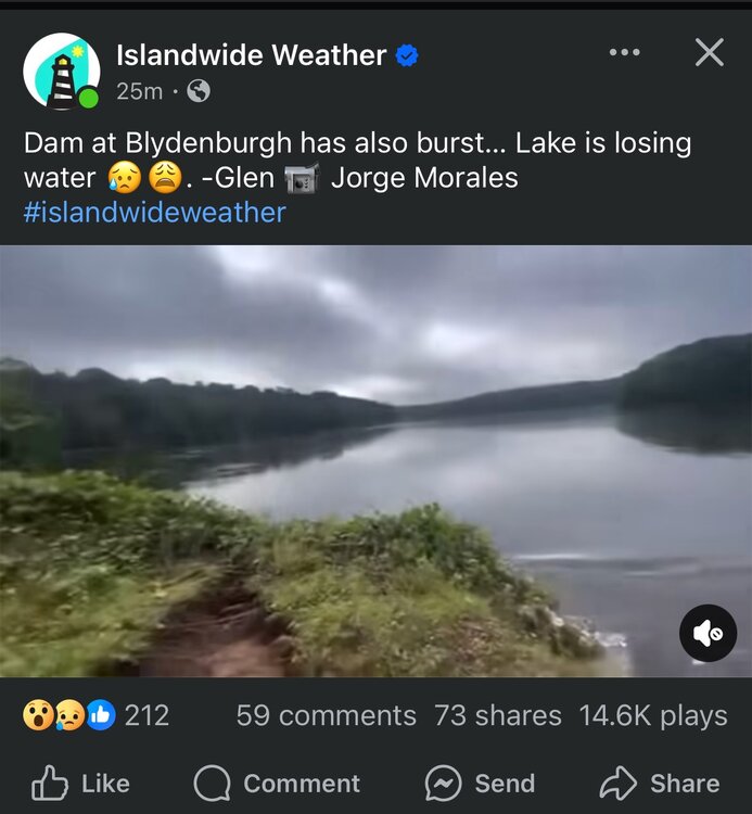 Screenshot 2024-08-19 at 3.43.17 PM.jpeg