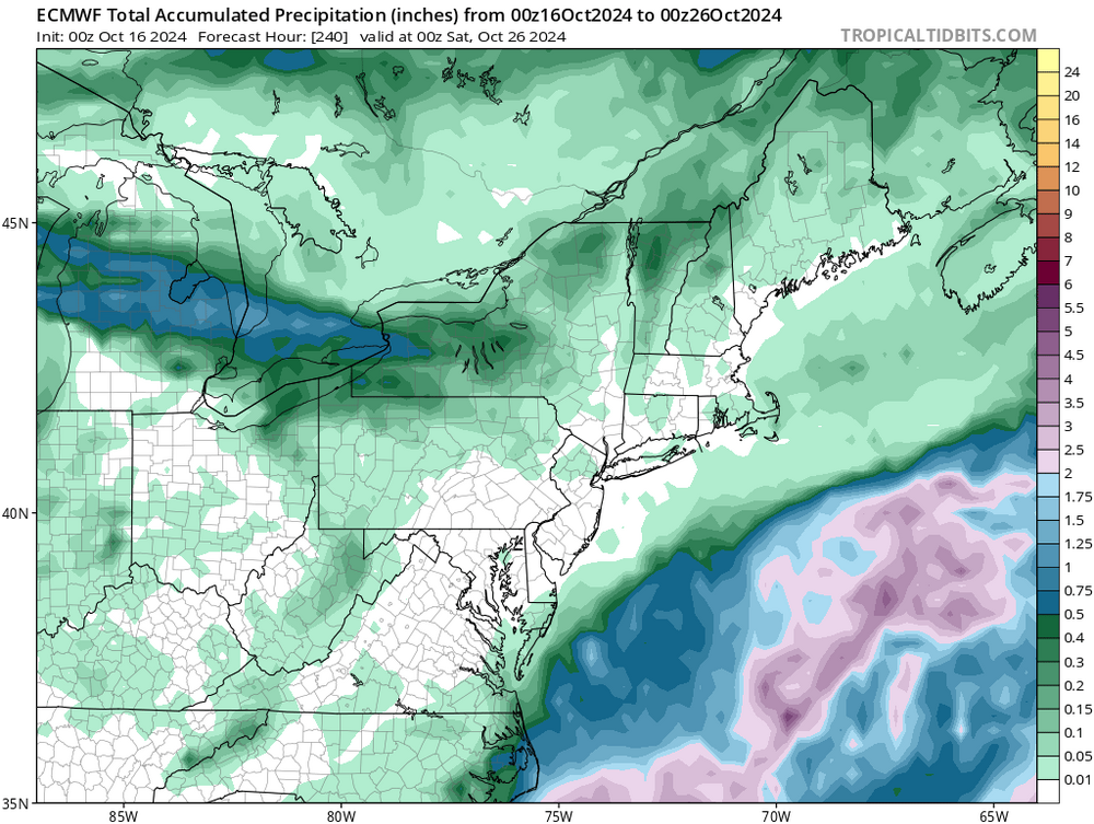 ecmwf_apcpn_neus_64 (5).png