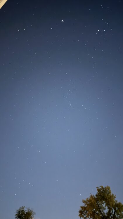 IMG_6309.thumb.jpeg.195308144388882451d98b44565e83a7.jpeg