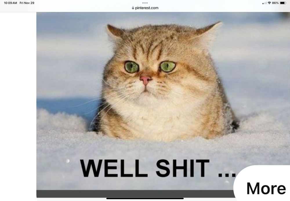 IMG_0940.png