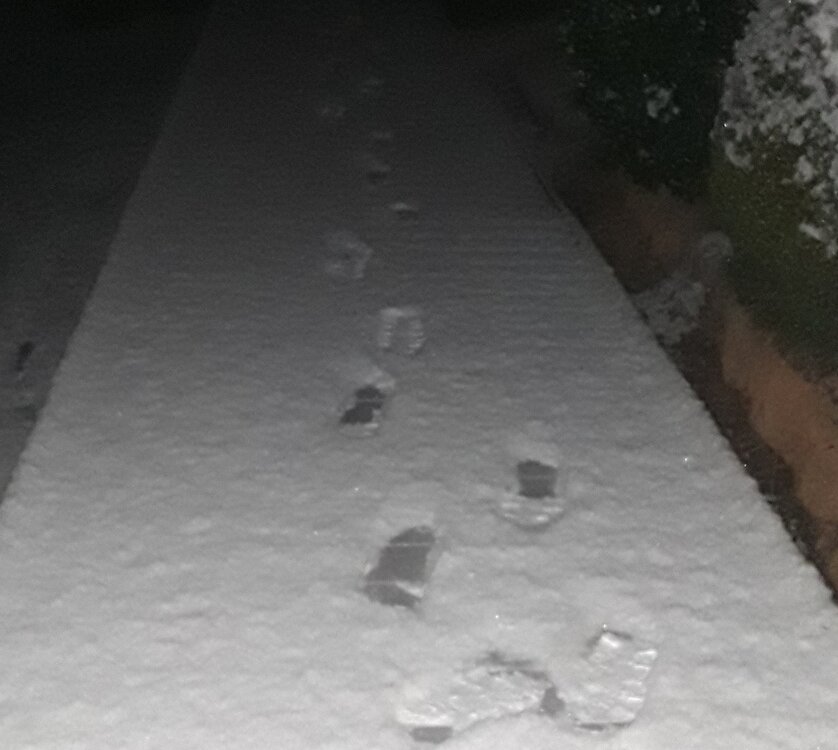 20241203_033800.jpg