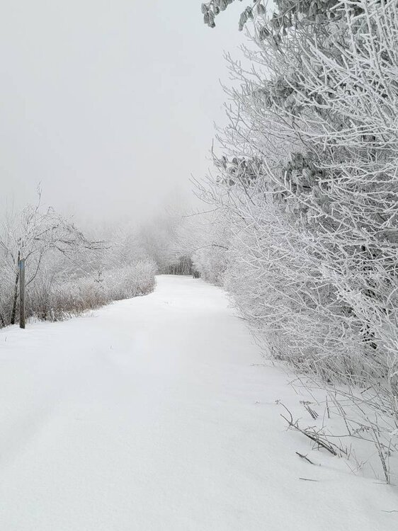 20241203_090649.jpg