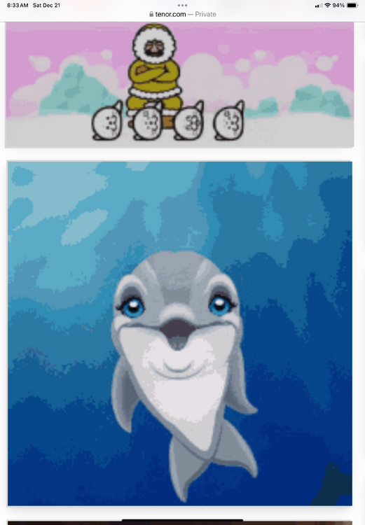 IMG_1024.png