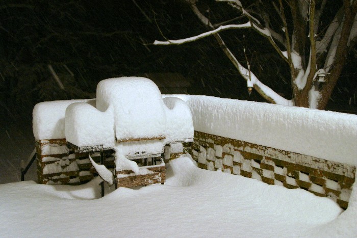 snowshot3.jpeg.9d0e968a07fc11eb57fdf53b58e583ae.jpeg