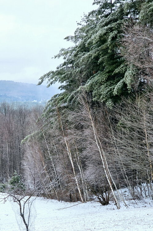 20250329_170345.jpg