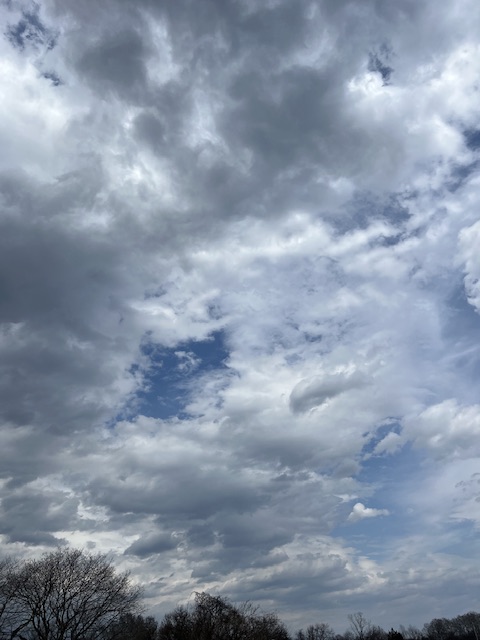 IMG_3278.jpeg.3b00ee487f2aa193d9c13666900e5a9b.jpeg