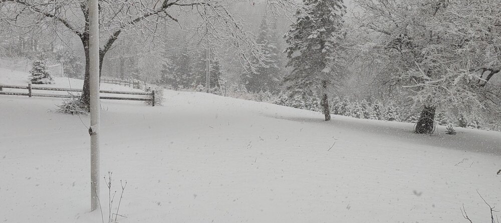 2025 april 12 snow.jpg