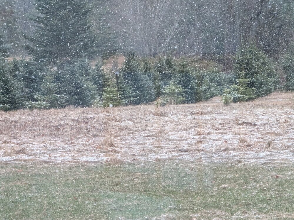 2025 April snow.jpg