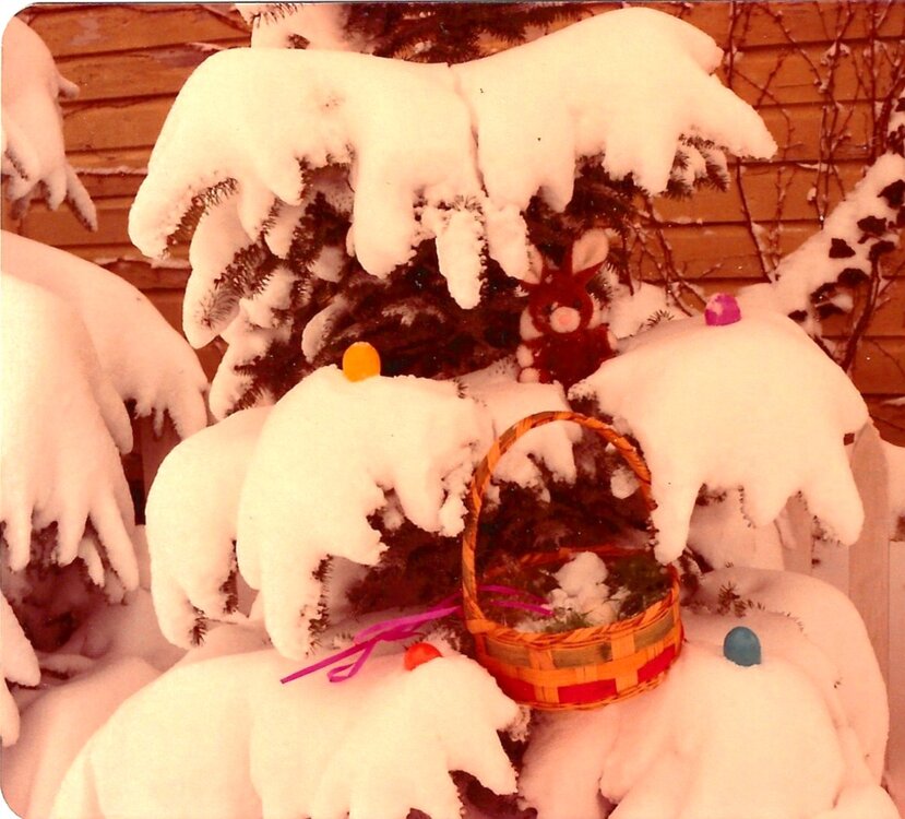 EasterBsktSnow82.JPG