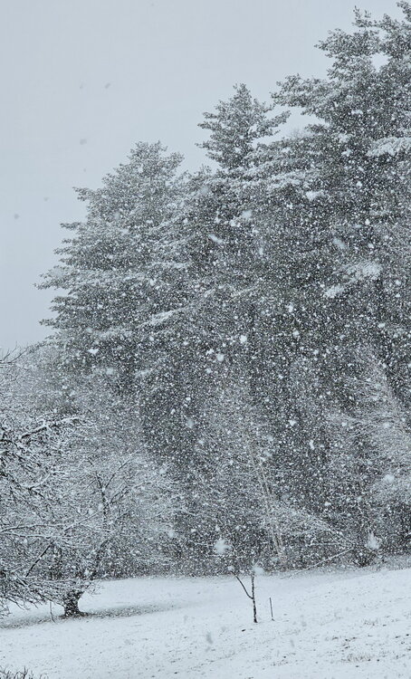 snow.jpg