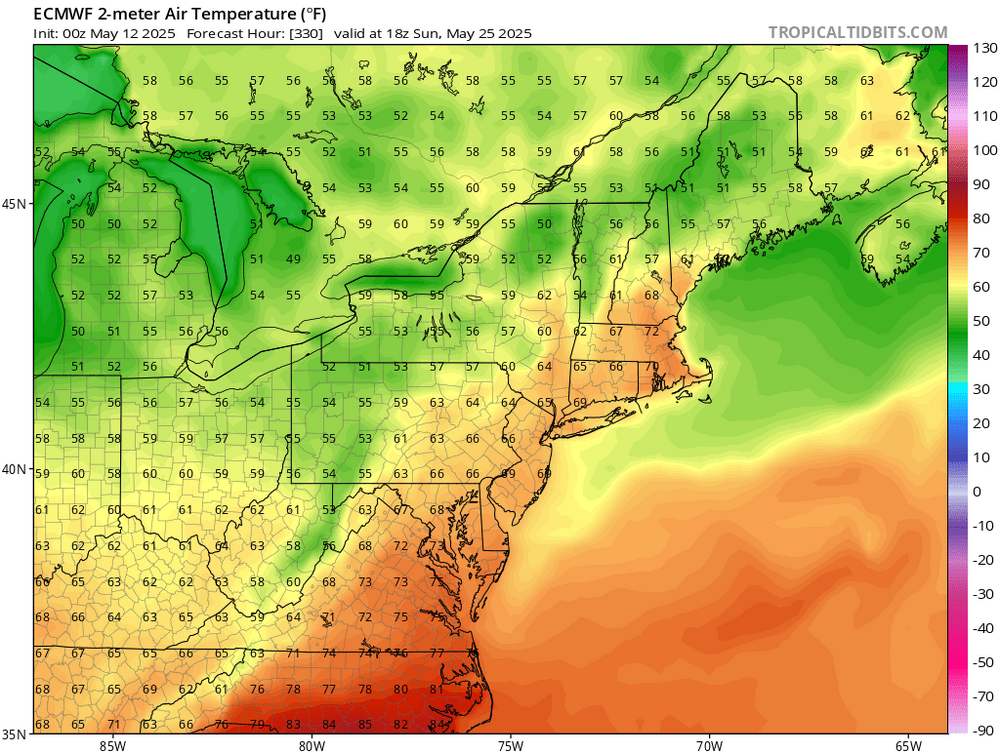 ecmwf_T2m_neus_80.png