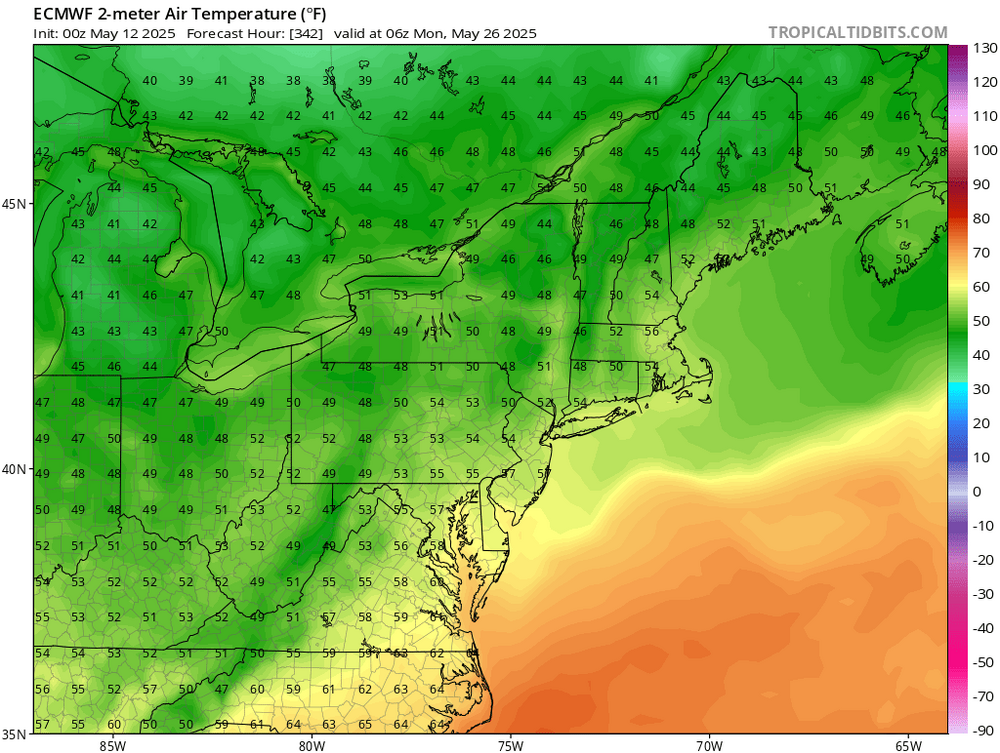ecmwf_T2m_neus_82.png
