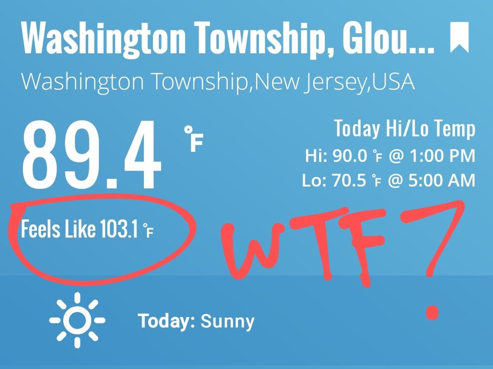 Screenshot_20250619_131633_WeatherLink~2.jpg
