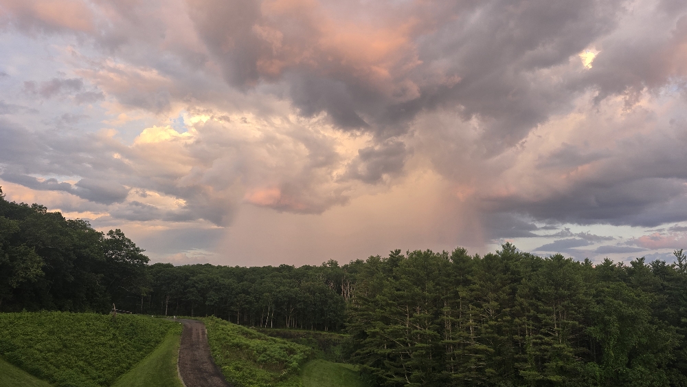 20250625_201714_resize_25.jpg.5aecd9745bfe2ccbb1c927e7a602e6a9.jpg