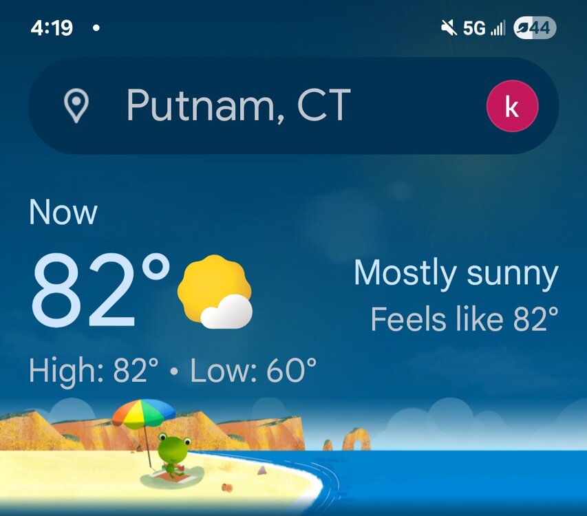Screenshot_20250629_161915_Google.jpg