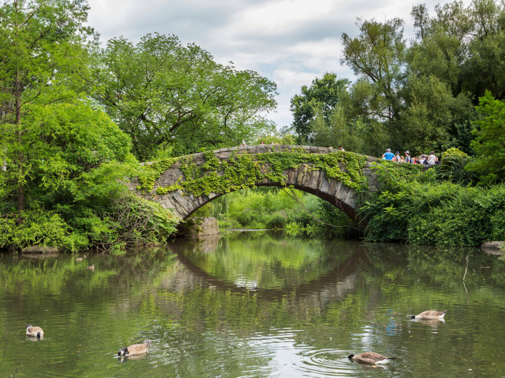 The-Pond-July-2018_0039.jpg