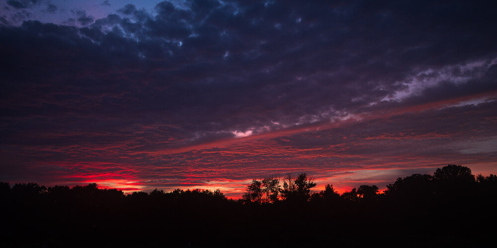 DSC_2675.jpg