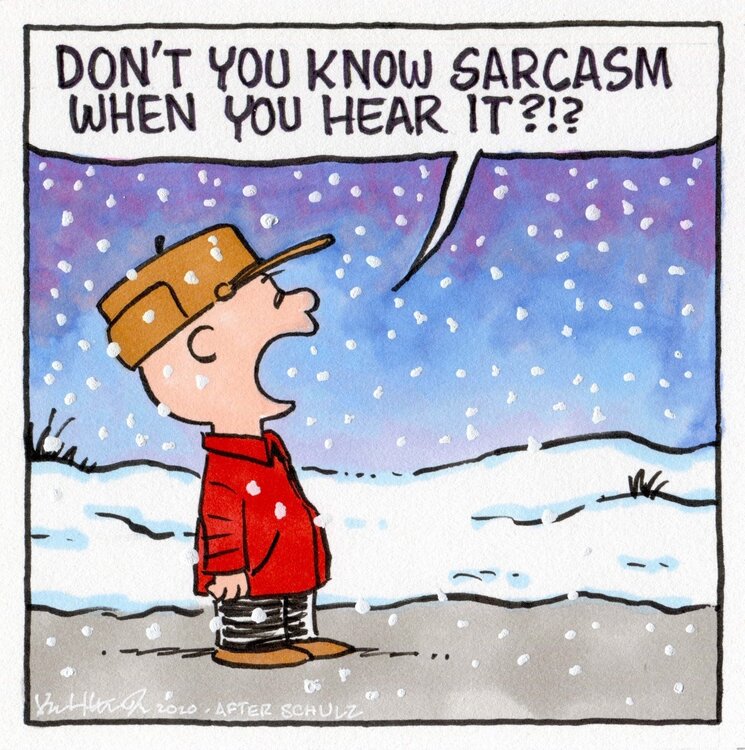 Sarcasm.jpg
