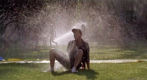 image.gif