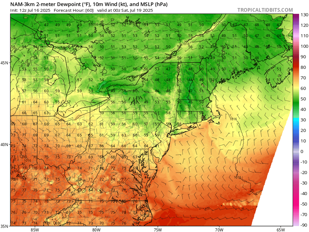 nam3km_Td2m_neus_60.thumb.png.3fed225c077a9faa3c454438b25a0a9d.png