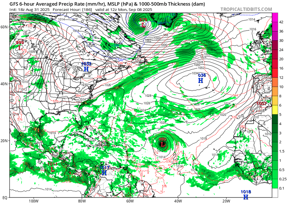 gfs_mslp_pcpn_atl_31.png