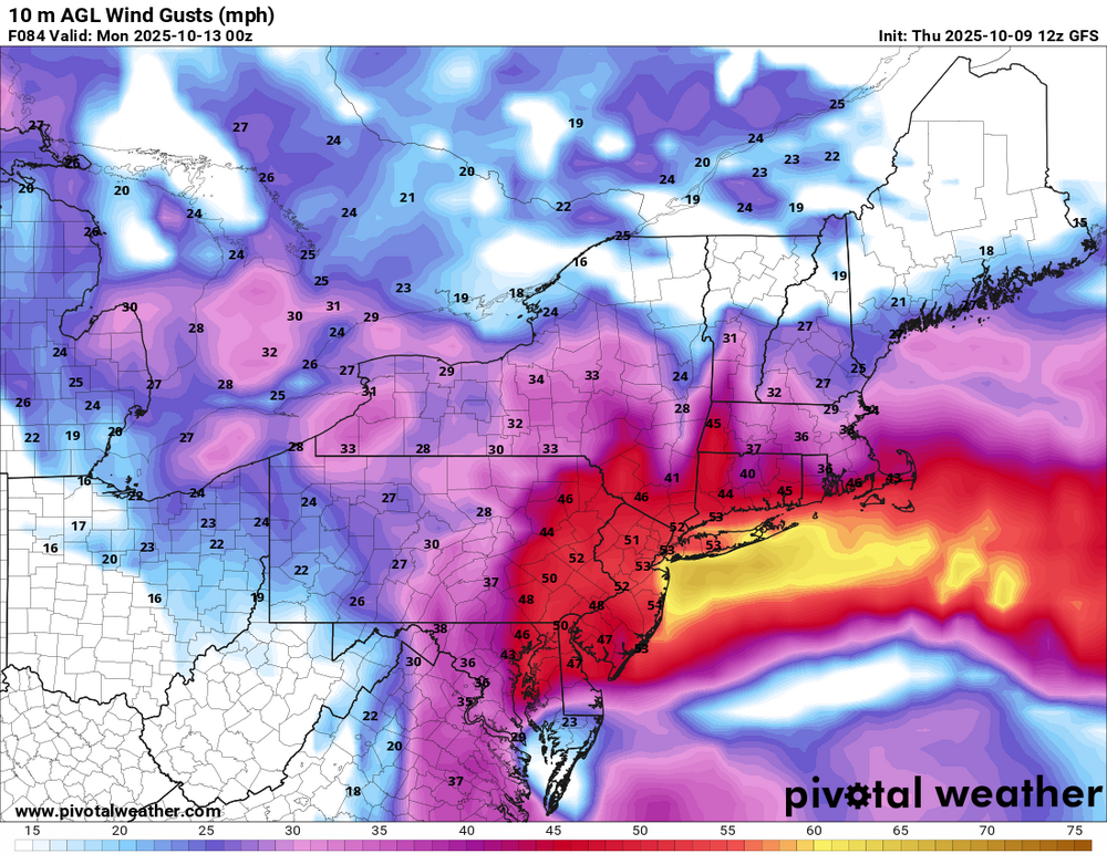 2001313785_10mWindGusts10-13.thumb.png.fe10dfc4132d8698ccd505753fbcff11.png