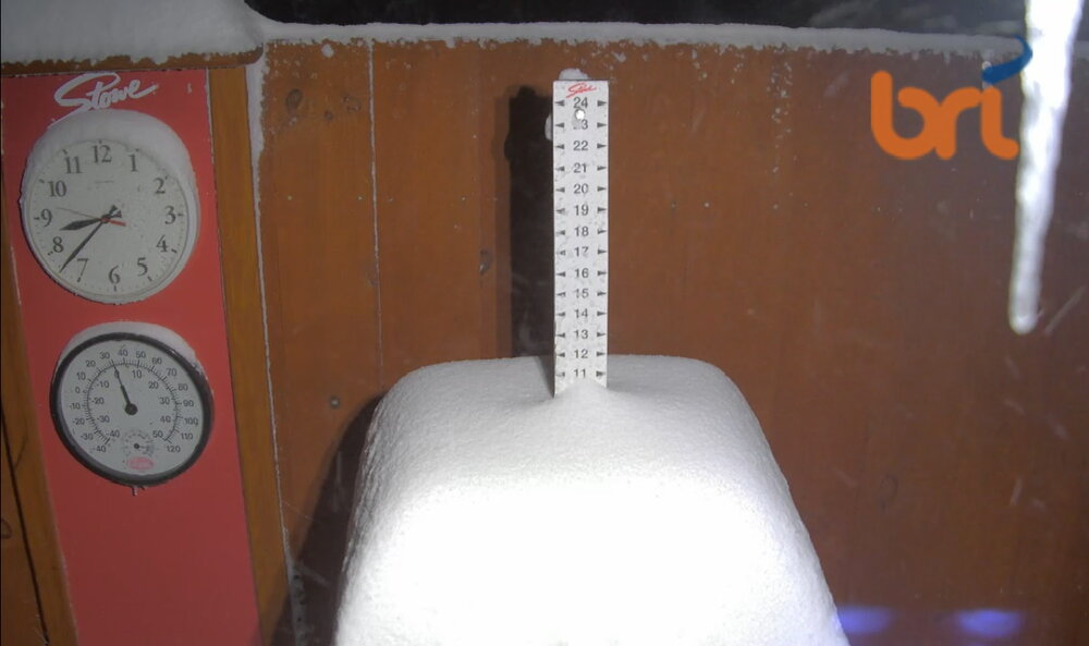 IMG_1059.thumb.jpeg.44437c684ce3acb0dcecc7a93f78c030.jpeg