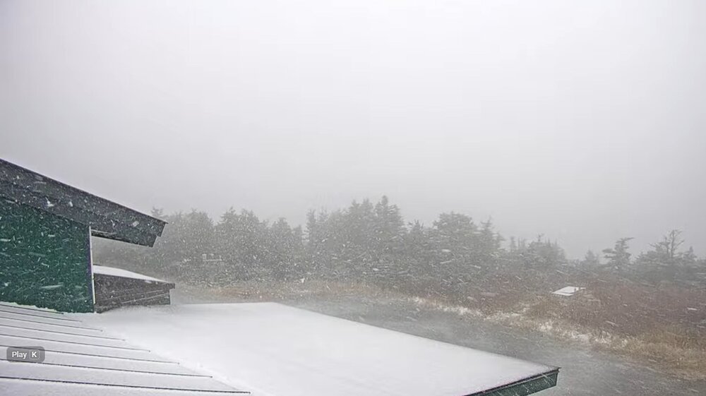 Snow.thumb.jpg.a92198bd855e7f5cce0f8167374af94a.jpg