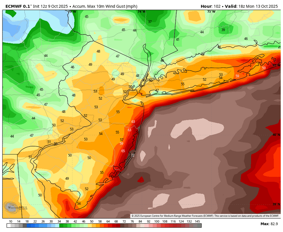 ecmwf-deterministic-nyc-gust_swath_mph-0378400.thumb.png.83b0b933cc7043afba23744135beb7e8.png