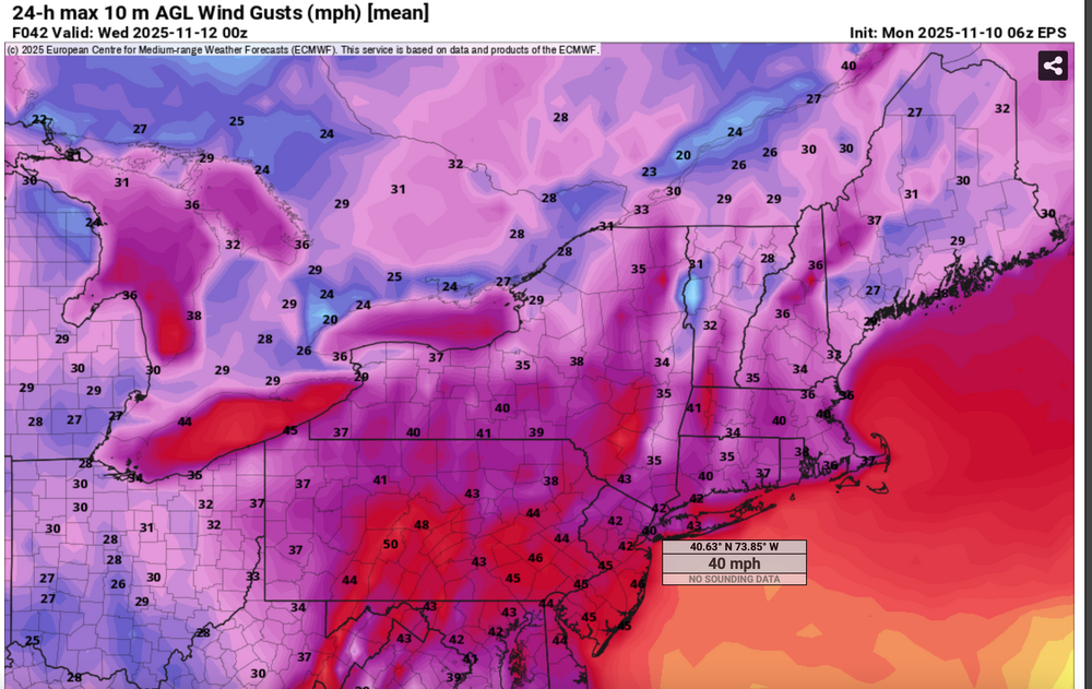 Screen Shot 2025-11-10 at 12.15.10 PM.png