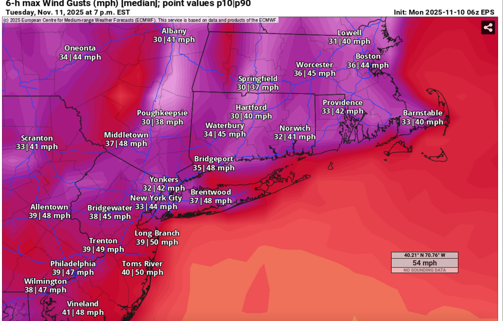 Screen Shot 2025-11-10 at 12.14.31 PM.png