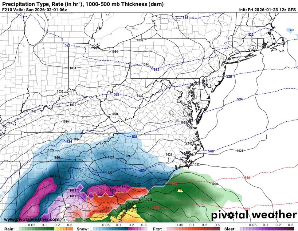 prateptype_cat-imp.us_ma (3).jpg