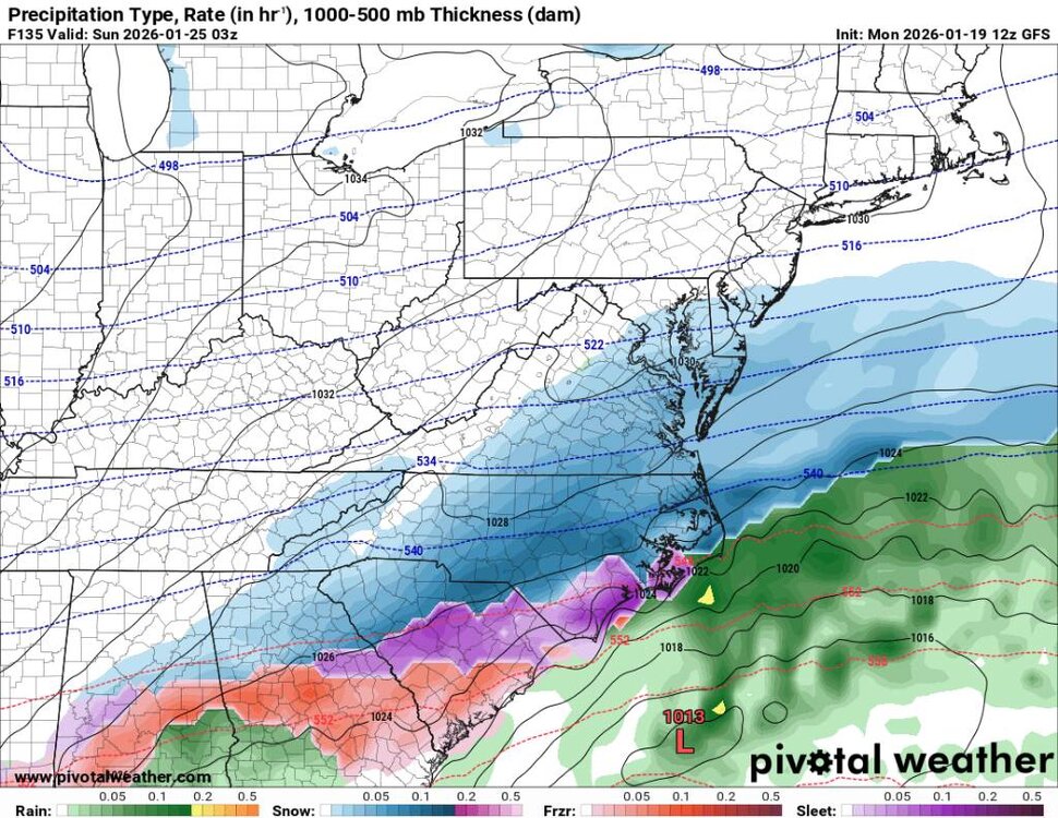 prateptype_cat-imp.us_ma (1).jpg