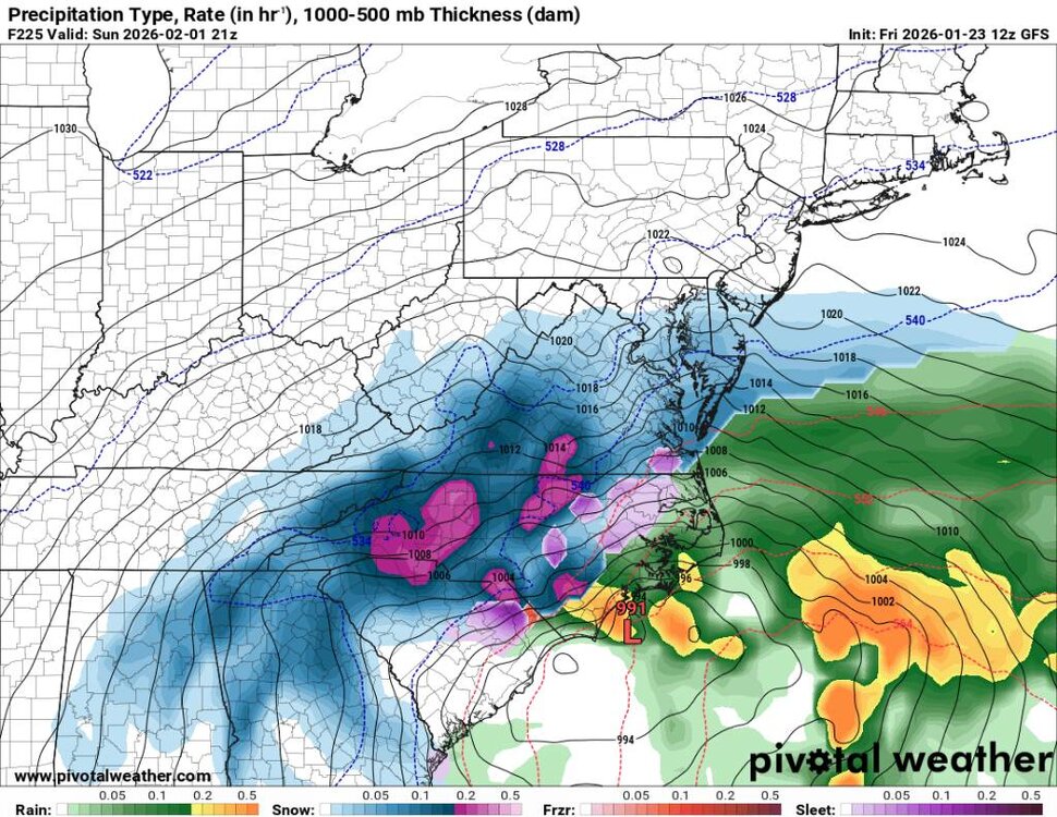 prateptype_cat-imp.us_ma (6).jpg