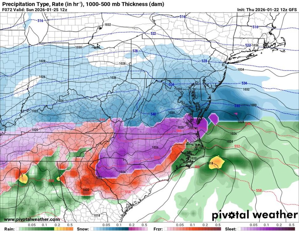 prateptype_cat-imp.us_ma (2).jpg