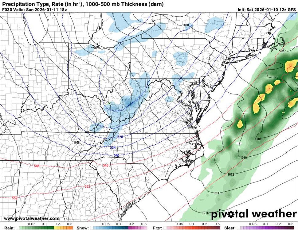 prateptype_cat-imp.us_ma (1).jpg