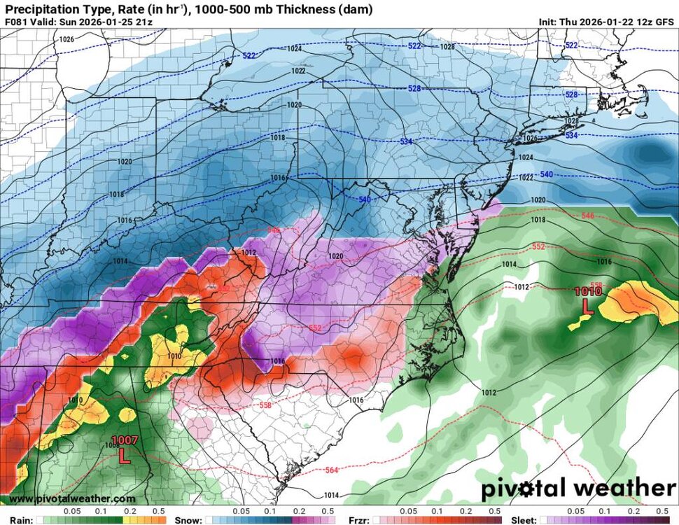 prateptype_cat-imp.us_ma (3).jpg