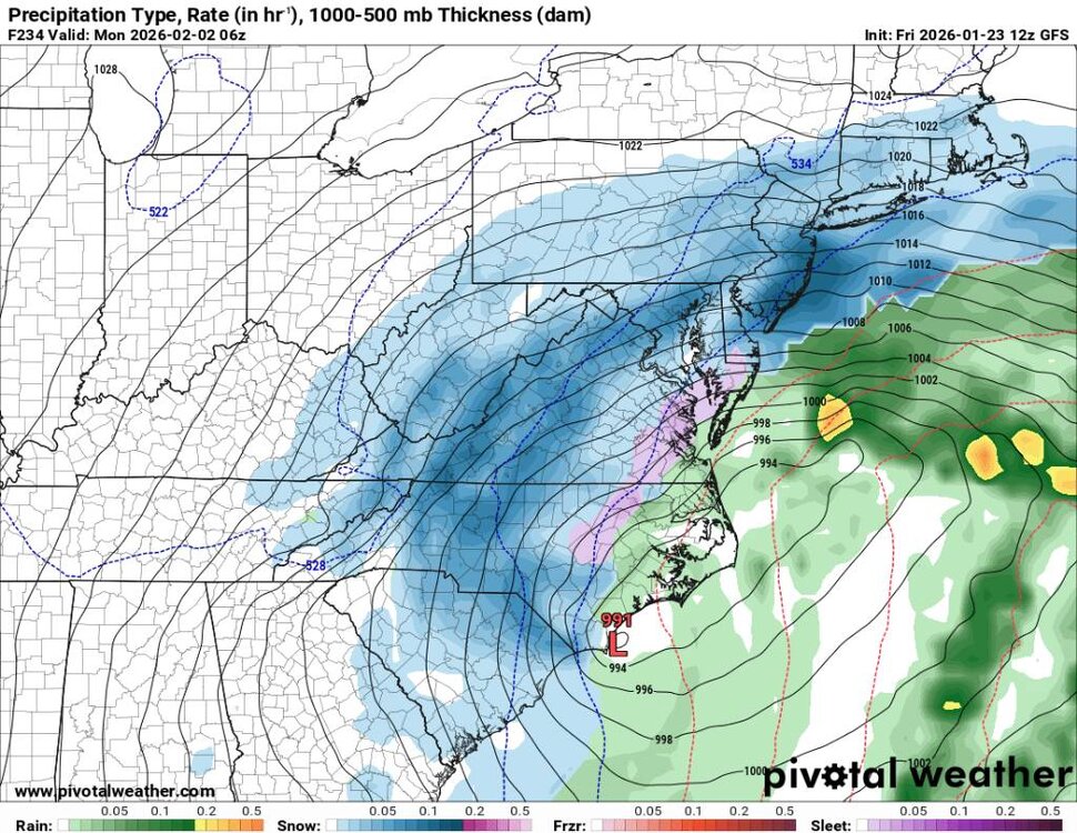 prateptype_cat-imp.us_ma (7).jpg