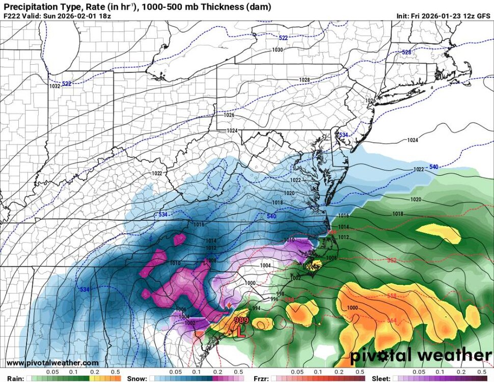 prateptype_cat-imp.us_ma (5).jpg